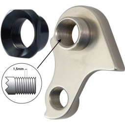 RT970 derailleur hanger
