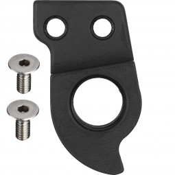 D1294 Derailleur hanger