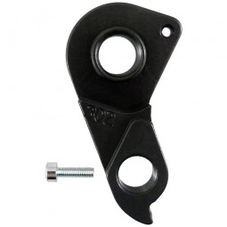 Derailleur hanger...