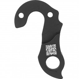 B122 Derailleur hanger
