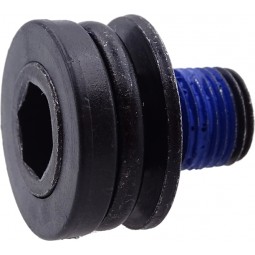 SAMOX BNI crank screw...