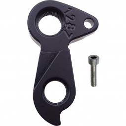 D1287 derailleur hanger