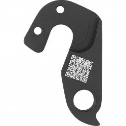 B139 Derailleur hanger