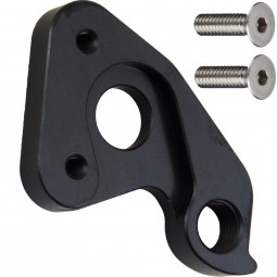 DOA92 derailleur hanger...