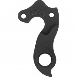 D771 derailleur hanger