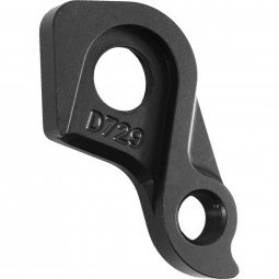 D729 derailleur hanger...