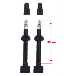 GIANT Valves tubeless...