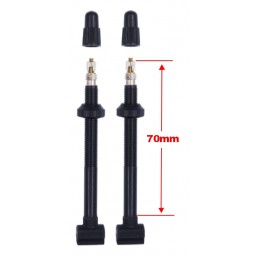 GIANT Valves tubeless...