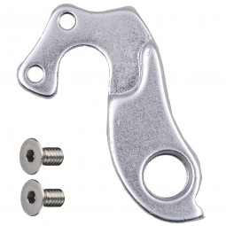 C1355315 derailleur hanger...
