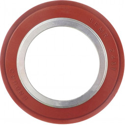 SEMR2437 seal 24mm inside...