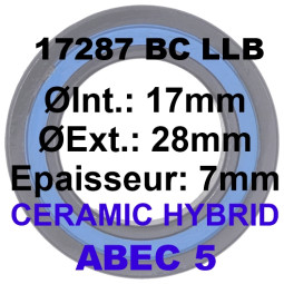 SGM Roulement 17287 BC LLB...