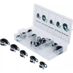 BGS Assortment of...