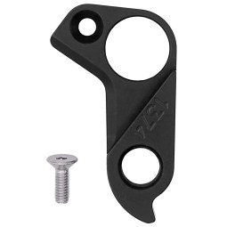 D1374 derailleur hanger
