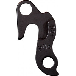 D21 derailleur hanger