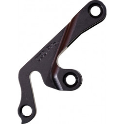 D30 derailleur hanger GT
