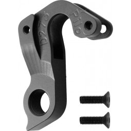 D273 derailleur hanger...