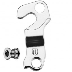 GH-269 derailleur hanger...