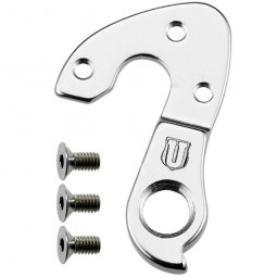 GH-289 derailleur hanger...