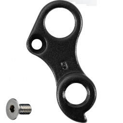 C1352065 derailleur hanger...