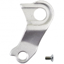 C1352128 derailleur hanger...