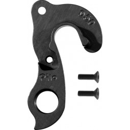 D50 derailleur hanger...