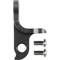 D94 derailleur hanger...
