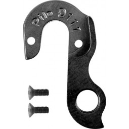 D111 derailleur hanger...