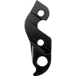 D142 derailleur hanger...