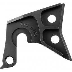 D153 derailleur hanger...