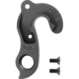 D175 derailleur hanger...