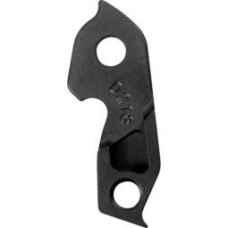 D218 derailleur hanger...