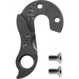 D221 derailleur hanger