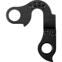 D226 derailleur hanger...