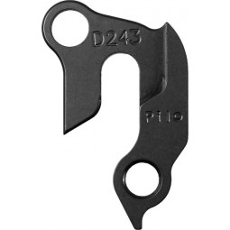 D243 derailleur hanger...