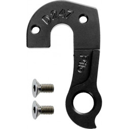D247 derailleur hanger...