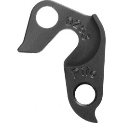 D253 derailleur hanger...