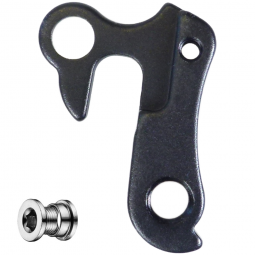 GH-021 derailleur hanger...