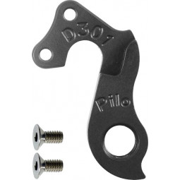 D301 derailleur hanger