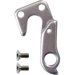 D303 derailleur hanger