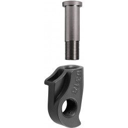 D318 derailleur hanger