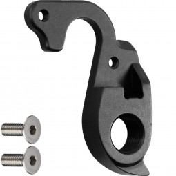 D331 derailleur hanger...