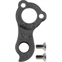 D340 derailleur hanger...