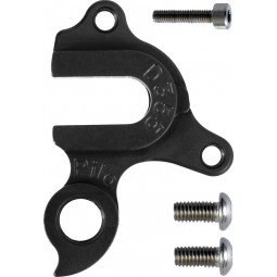 D355 derailleur hanger...