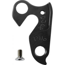 D362 derailleur hanger...