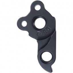 D812 derailleur hanger