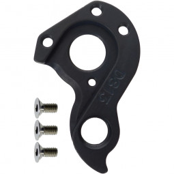 D813 derailleur hanger...