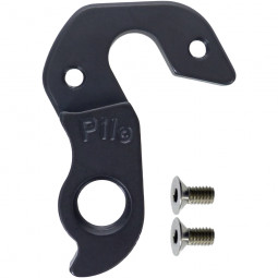 D820 Derailleur hanger