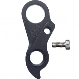 D839 derailleur hanger...