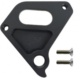 D857 Derailleur hanger