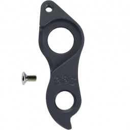 D863 derailleur hanger